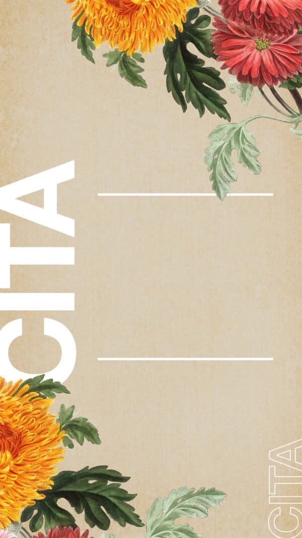 Cita