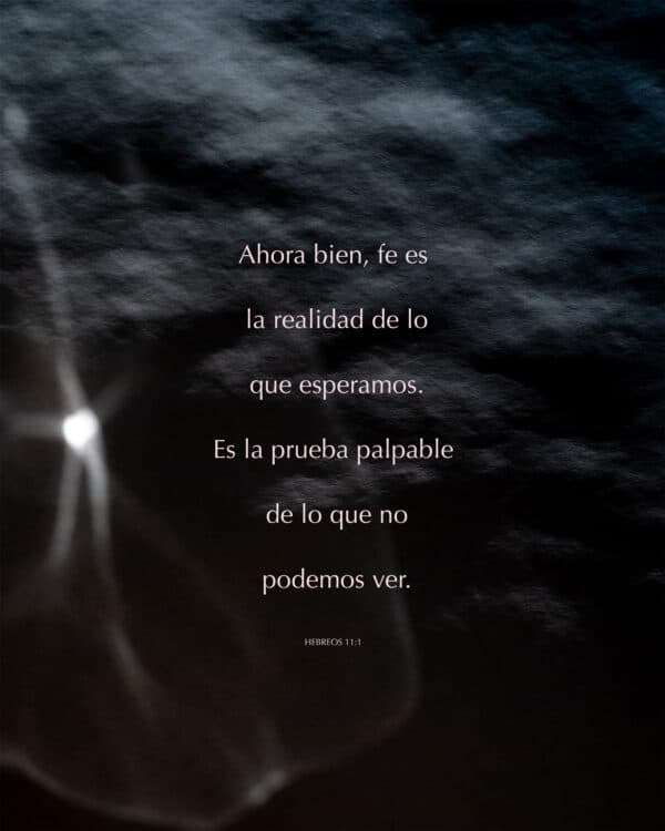 Ahora bien, fe es la realidad de lo que esperamos. Es la prueba palpable de lo que no podemos ver. - Hebreos 11:1
