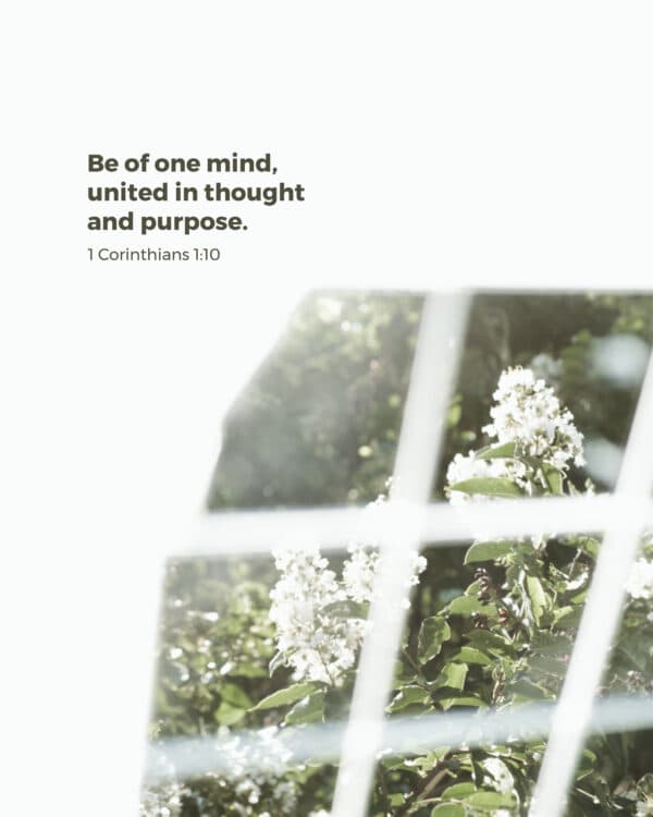 Be of one mind, united in thought and purpose. - 1 Corinthians 1:10