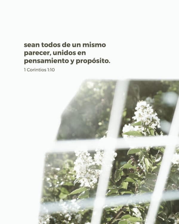 Sean todos de un mismo parecer, unidos en pensamiento y propósito. - 1 Corintios 1:10