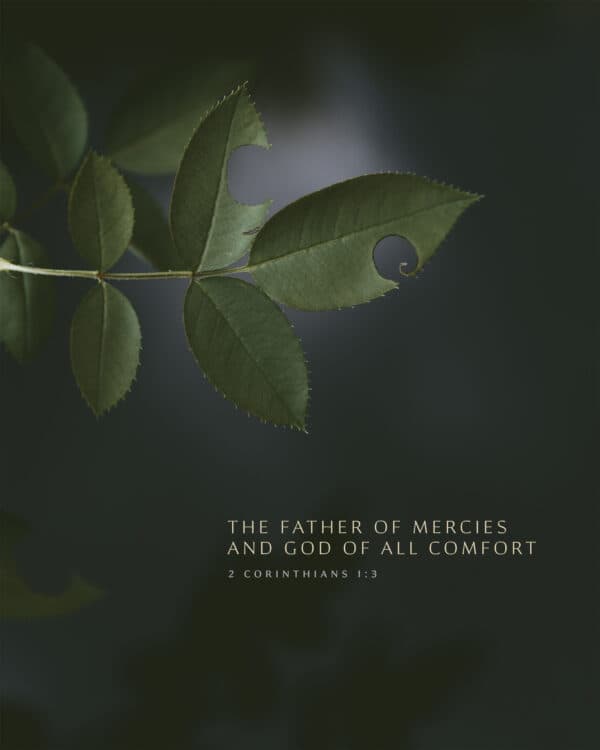 The Father of mercies and God of all comfort. - 2 Corinthians 1:3