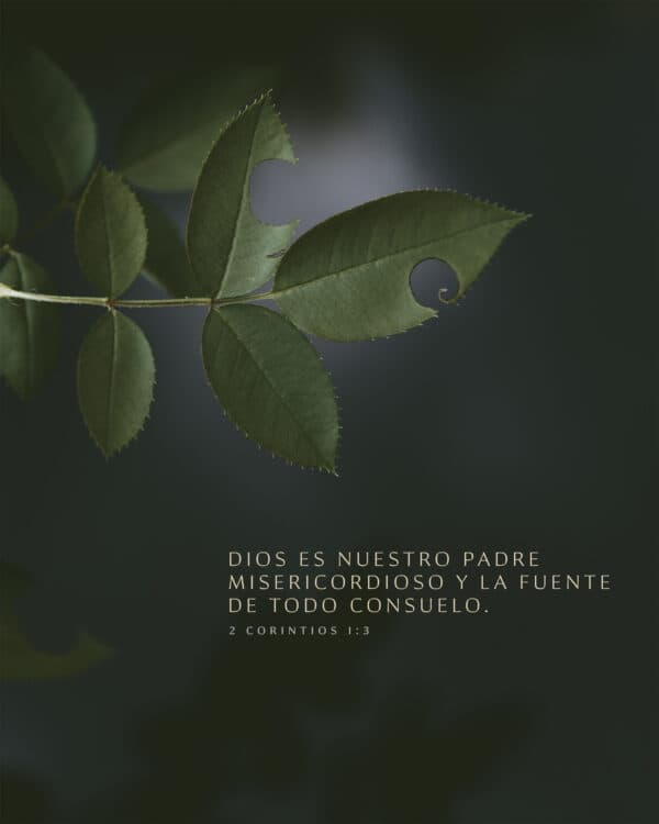 Dios es nuestro Padre misericordioso y la fuente de todo consuelo. - 2 Corintios 1:3