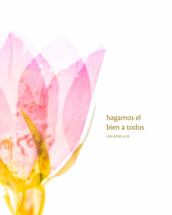 Hagamos el bien a todos. - Gálatas 6:10
