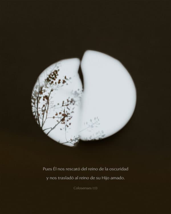 Pues Él nos rescató del reino de la oscuridad y nos trasladó al reino de su Hijo amado. - Colosenses 1:13
