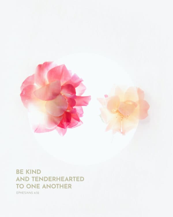 Be kind and tenderhearted to one another. - Ephesians 4:32