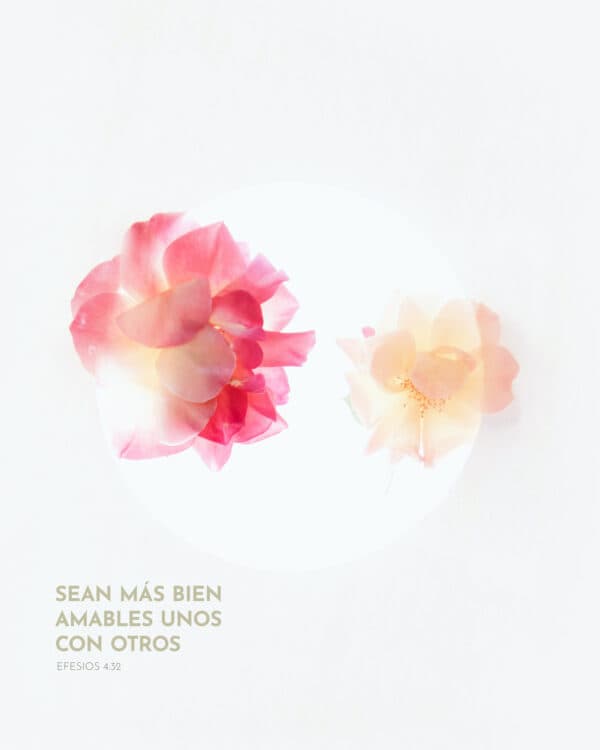 Sean más bien amables unos con otros. - Efesios 4:32
