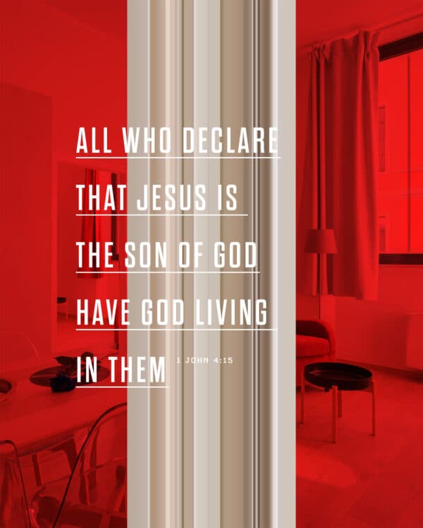 All who declare that Jesus is the Son of God have God living in them. - 1 John 4:15