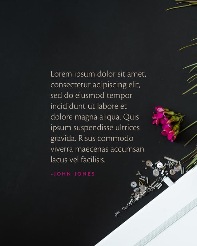 Speaker Quote Posts