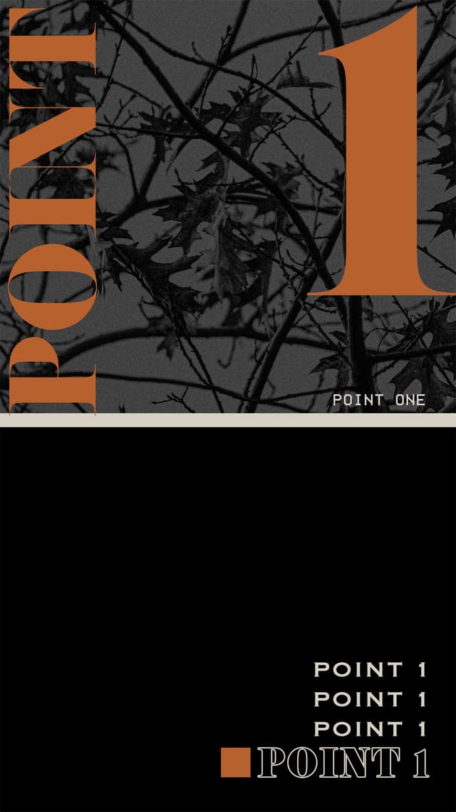Point 1