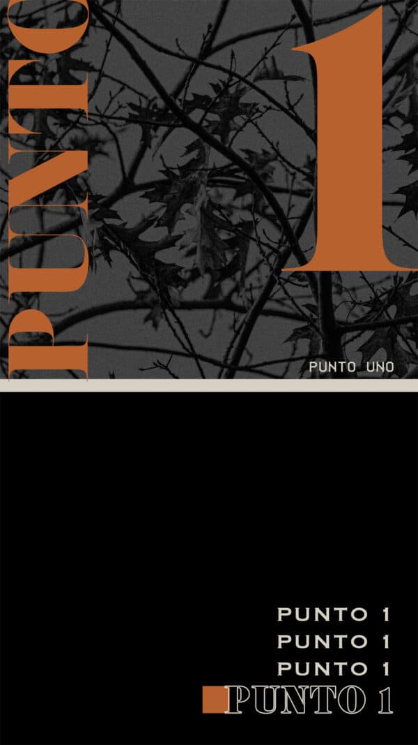 Punto 1