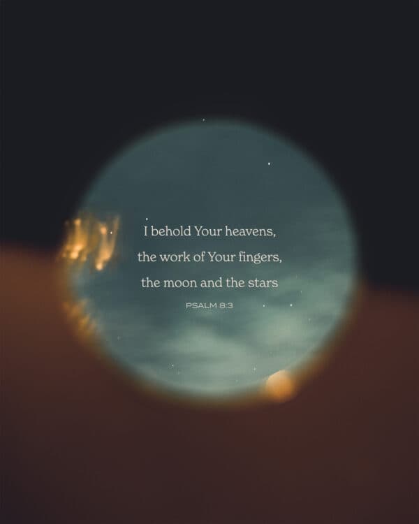 She will give birth to a son and will call him Immanuel (which means ‘God is with us’). - Isaiah 7:14