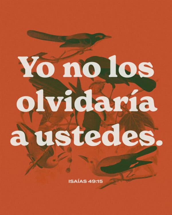 Yo no los olvidaría a ustedes. - Isaías 49:15