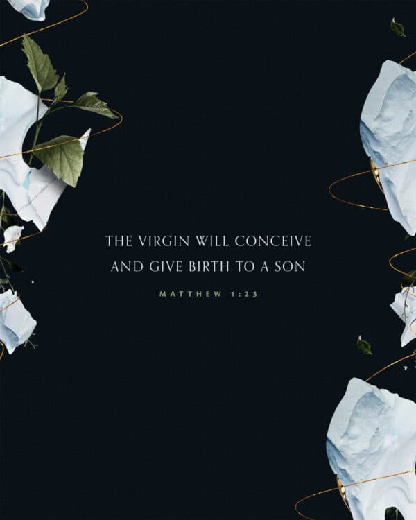 The virgin will conceive and give birth to a son. - Matthew 1:23