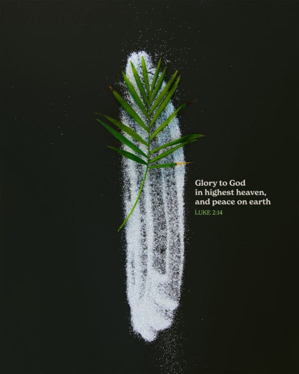 Glory to God in highest heaven, and peace on earth. - Luke 2:14