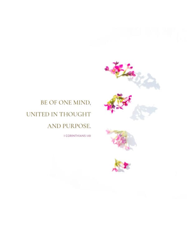 Be of one mind, united in thought and purpose. - 1 Corinthians 1:10