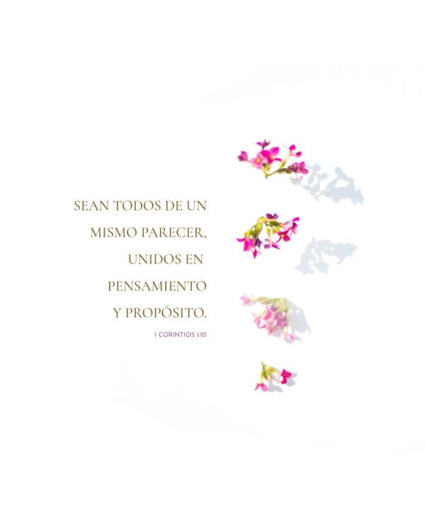 Sean todos de un mismo parecer, unidos en pensamiento y propósito. - 1 Corintios 1:10