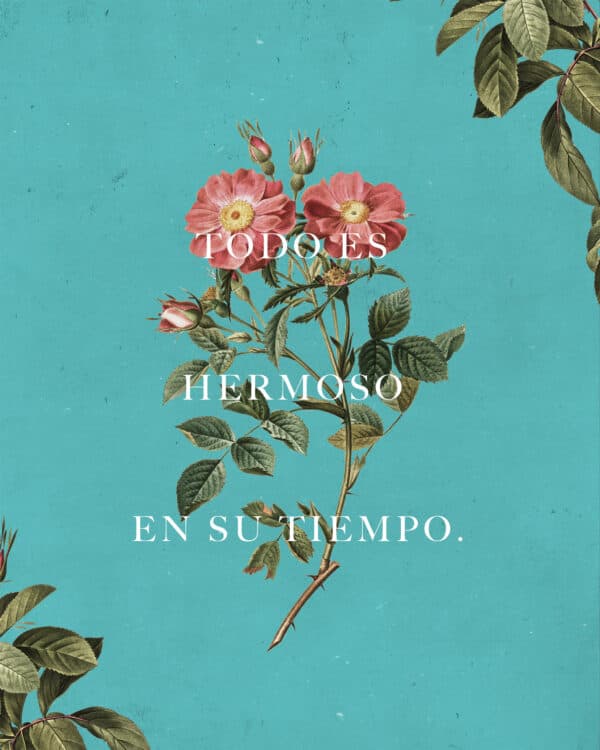 Todo es hermoso en su tiempo.