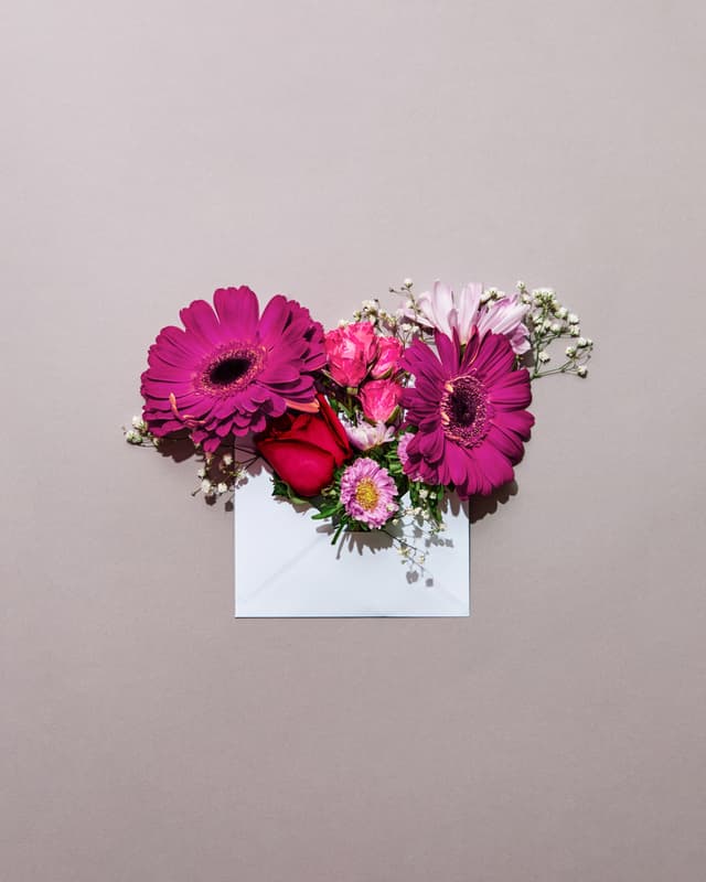 February Studio Shoot 19