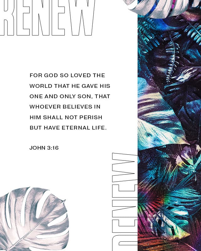 Scripture Posts