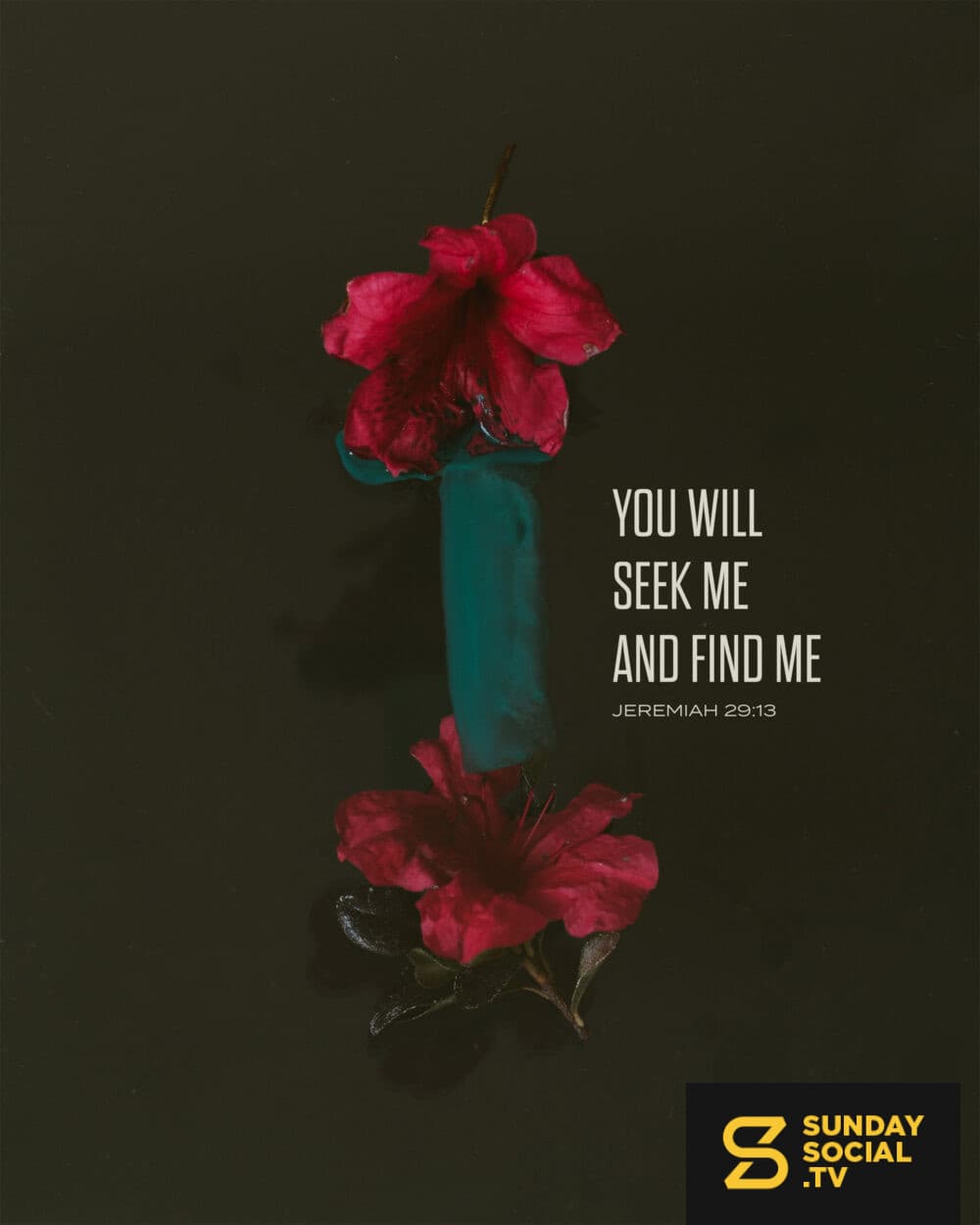 You will seek me and find me. - Jeremiah 29:13