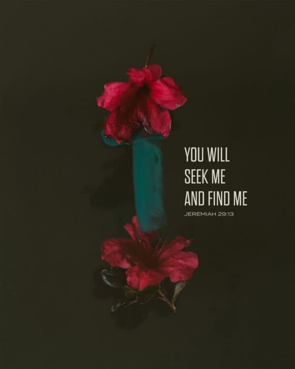 You will seek me and find me. - Jeremiah 29:13