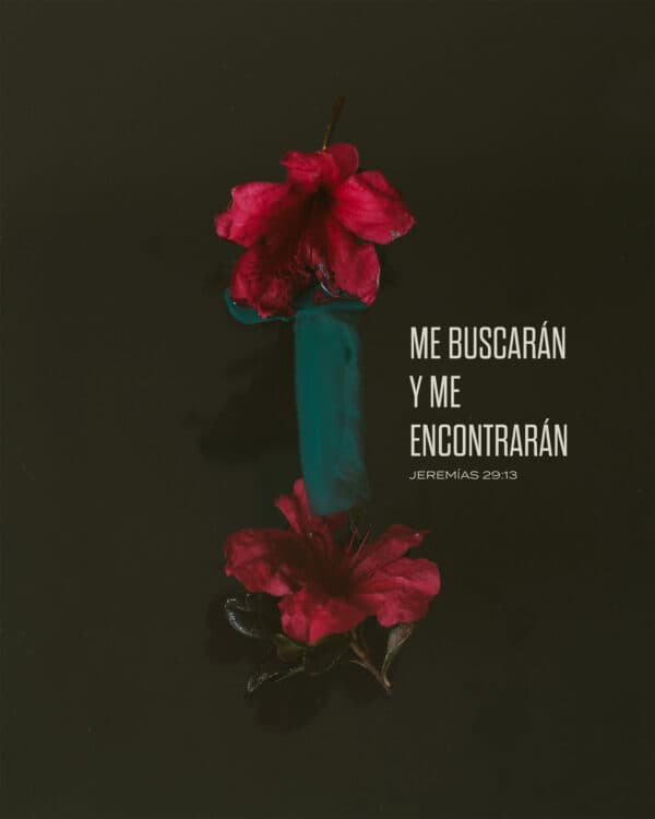 Me buscarán y me encontrarán. - Jeremías 29:13