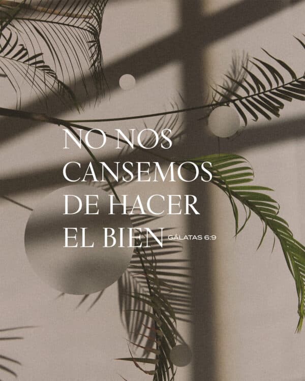 No nos cansemos de hacer el bien. - Gálatas 6:9