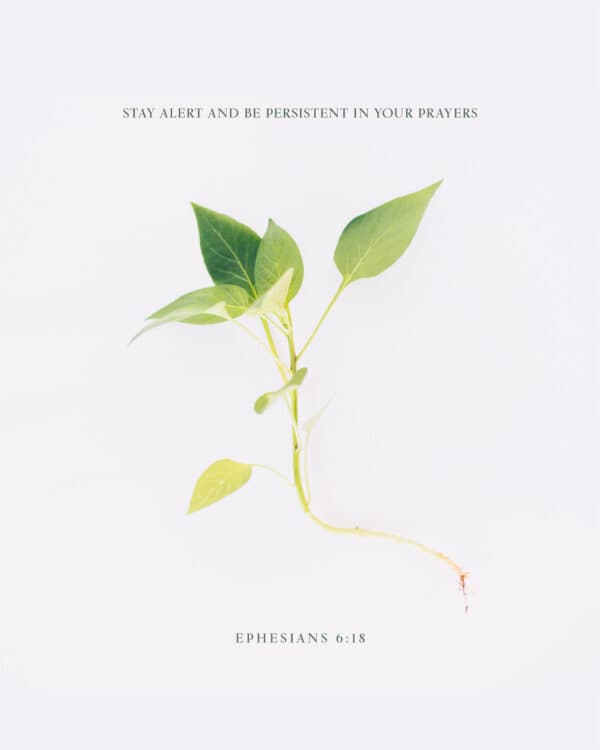 Stay alert and be persistent in your prayers. - Ephesians 6:18