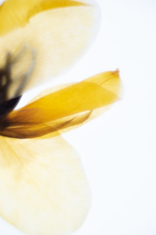 January Verse-of-the-Day Shoot 11
