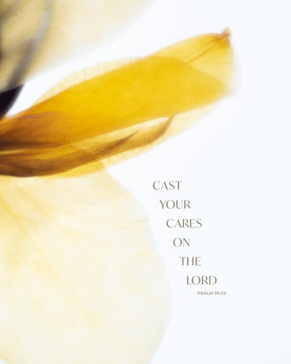 Cast your cares on the LORD. - Psalm 55:22