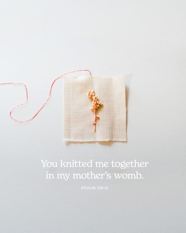 You knitted me together in my mother’s womb. - Psalm 139:13