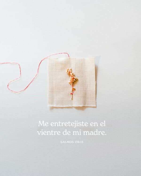 Me entretejiste en el vientre de mi madre. - Salmos 139:13