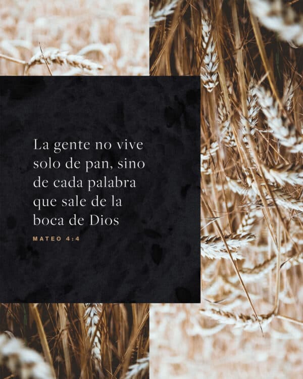 La gente no vive solo de pan, sino de cada palabra que sale de la boca de Dios. - Mateo 4:4