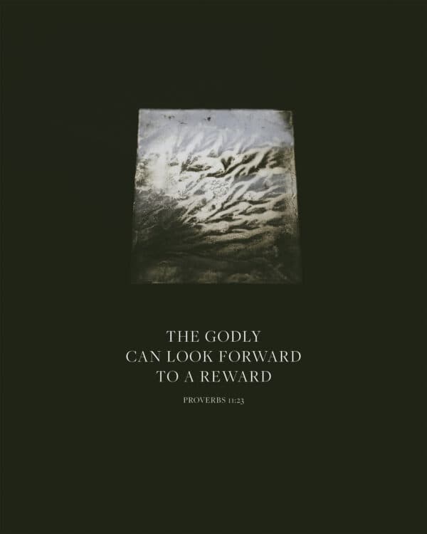 The godly can look forward to a reward. - Proverbs 11:23