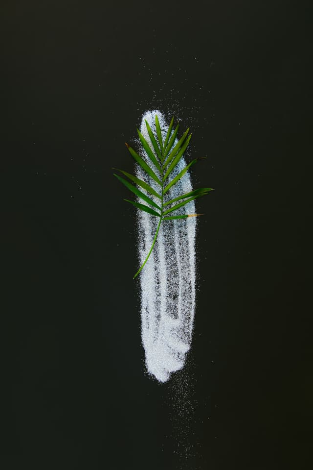 December Verse-of-the-Day Shoot 12