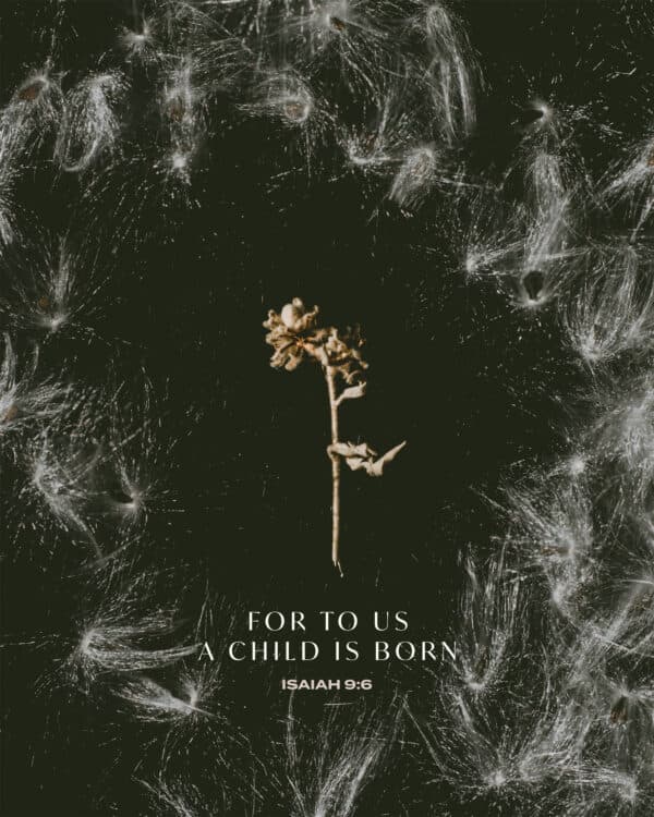 For to us a child is born. - Isaiah 9:6