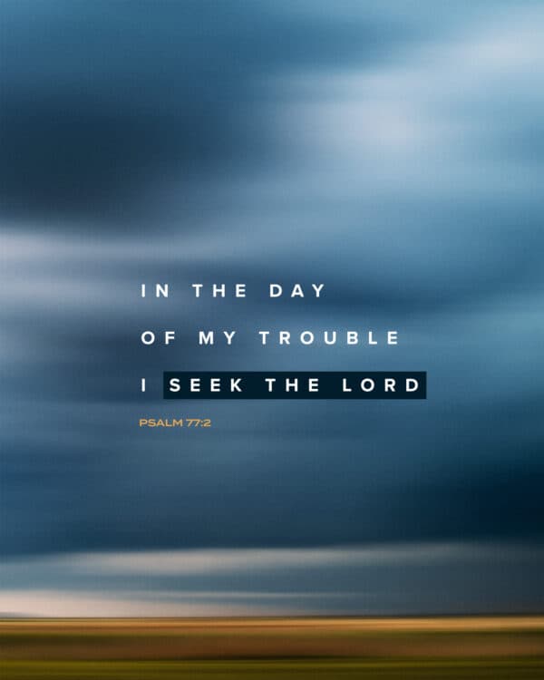 In the day of my trouble I seek the Lord. - Psalm 77:2