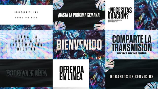 Renew | Diapositivas