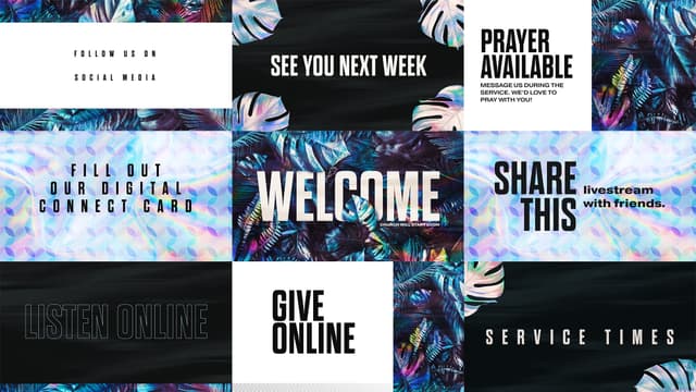 Renew | Slides