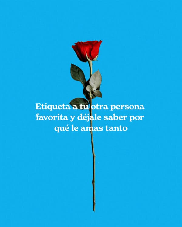 Etiqueta a tu otra persona favorita y déjale saber por qué le amas tanto.