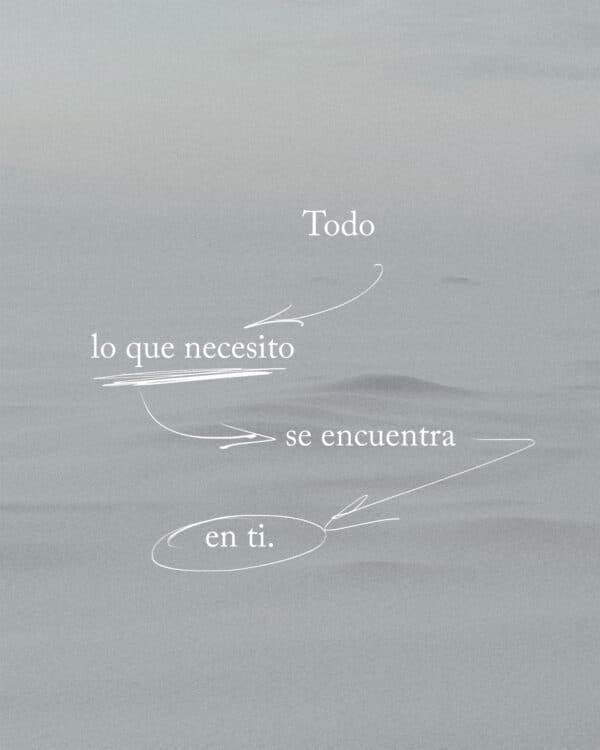 Todo lo que necesito se encuentra en ti.