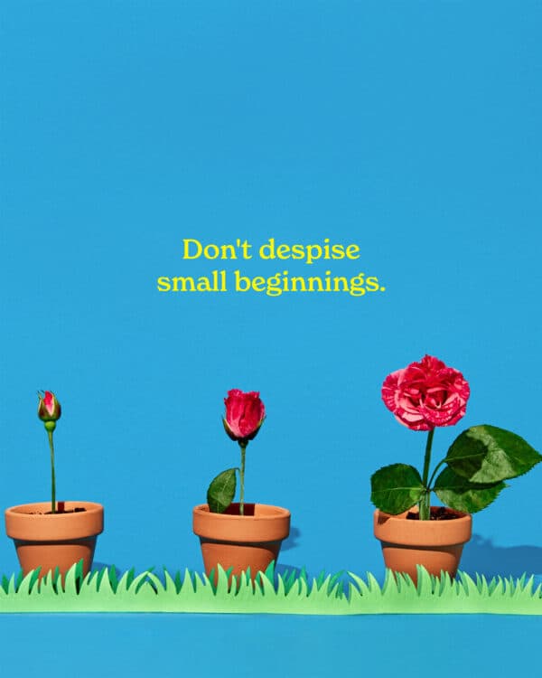 Don't despise small beginnings.