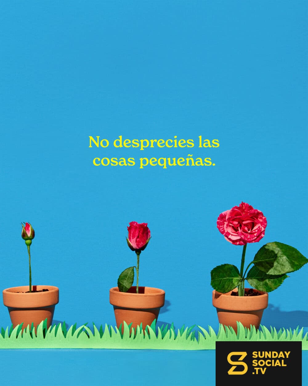 No desprecies las cosas pequeñas.