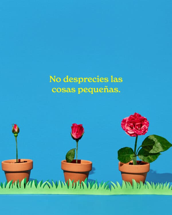 No desprecies las cosas pequeñas.