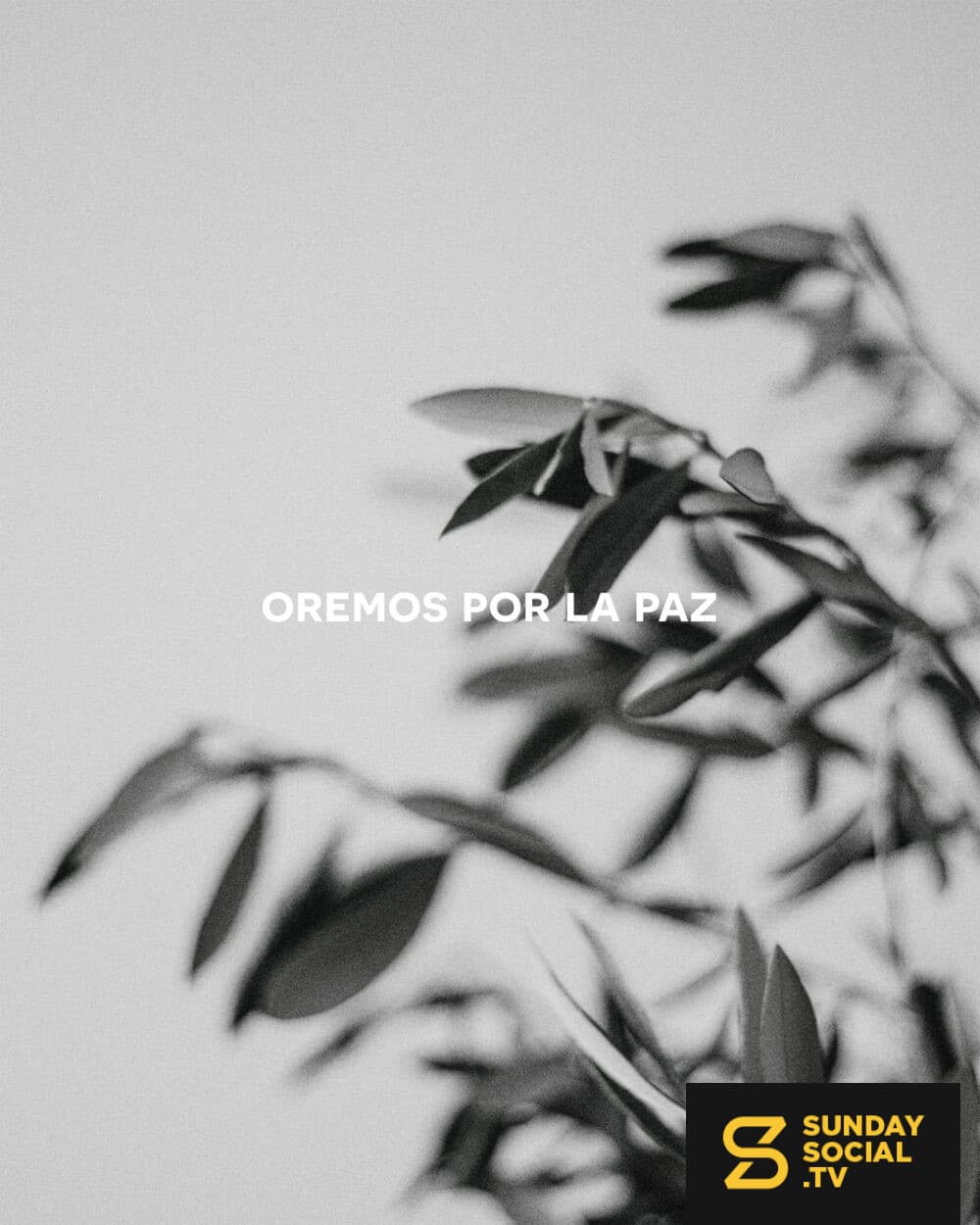 Oremos por la paz