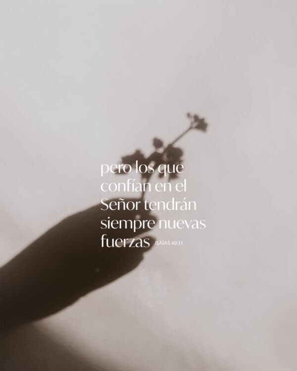 pero los que confían en el Señor tendrán siempre nuevas fuerzas. - Isaías 40:31