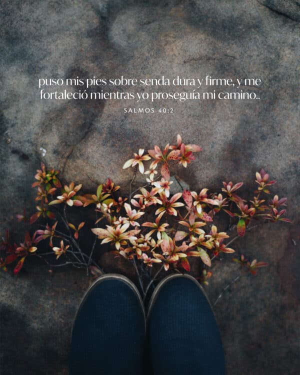 Puso mis pies sobre senda dura y firme, y me fortaleció mientras yo proseguía mi camino. - Salmos 40:2