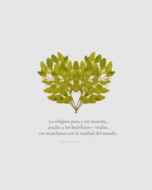 La religión pura y sin mancha... ayudar a los huérfanos y viudas...sin mancharse con la maldad del mundo. - Santiago 1:27