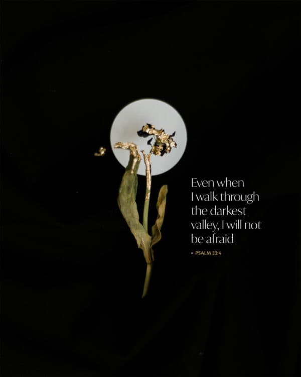 Even when I walk through the darkest valley, I will not be afraid. - Psalm 23:4