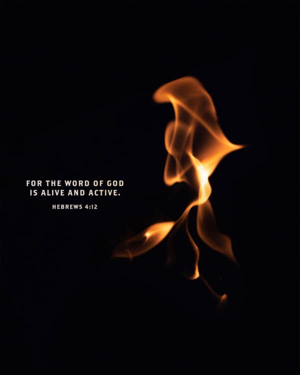 For the word of God is alive and active. - Hebrews 4:12